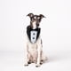 thumbnail image 4 of Corbata de pajarita para perro de esmoquin azul, cuello de perro de Halloween, bandana de cumpleaños para perros pequeños a grandes, 4 of 6
