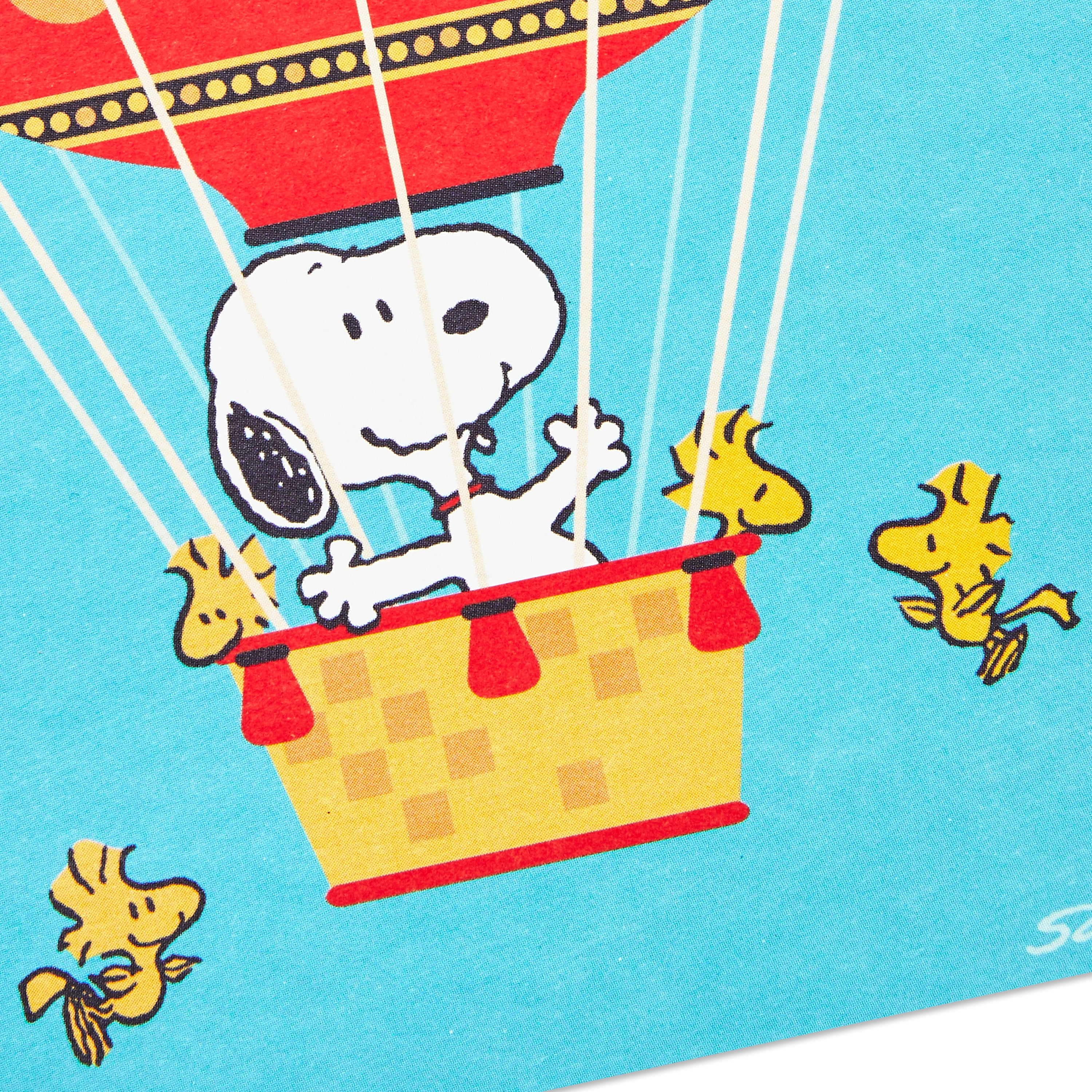 2 Kit Amigurumi Coleção Peanuts Circulo Snoopy e Woodstock | Brasil