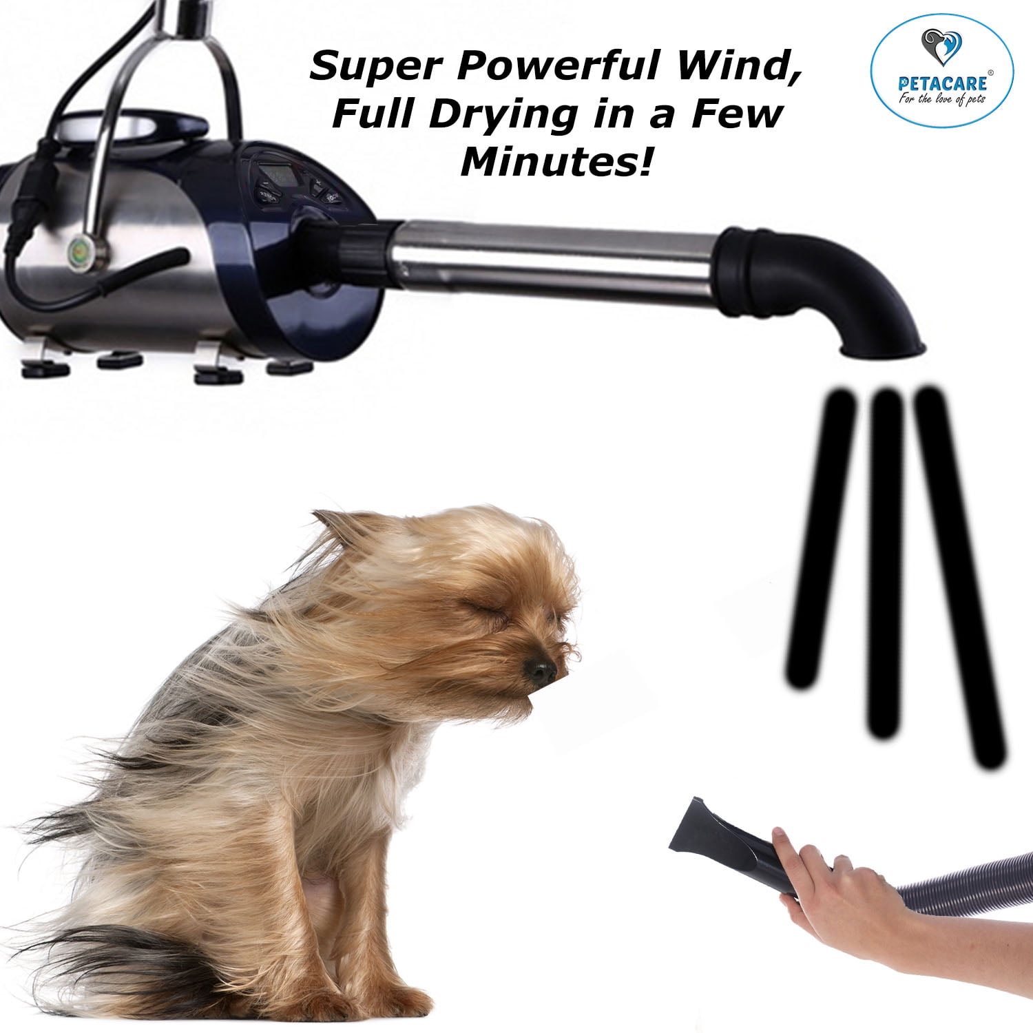 Body Dryer, Warm/Natural Air Wind, Open Pet Dryers, Body Blow Dryer for  Bathroom, for Bathroom Sports Center GYM