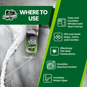 Sprayman Gaps & Cracks Filler Foam - Expanding Foam Sealant for Doors, Windows & Wall Repairs - Waterproof & Paintable, 12 oz - 2 Pack