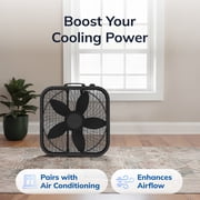 Lasko Cool Colors 20 3-Speed Weather-Resistant Motor Box Fan B20301