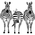 thumbnail image 1 of Care Taker Funny Animal Wall Decal Decoration Funny Zebras Front and Back Poses Lasts Years and Easily Removable - Size: 10 In(W) x 10 In(H), 1 of 3