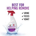 thumbnail image 6 of Hoover Pet Spot & Stain Remover Pretreat, 32Oz, AH30900, 6 of 8