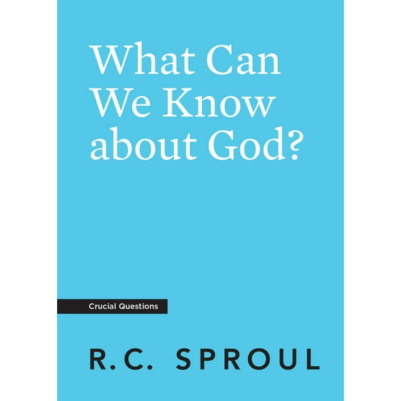 Pre-Owned What Can We Know about God? (Paperback) 1642890626 9781642890624
