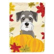 Caroline's Treasures BB2012GF Schnauzer Thanksgiving Flag Garden Size , Small, multicolor