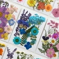 thumbnail image 3 of Dried Flower Craft Kit For Diy Enthusiasts Create Beautiful Decorations At Home, 3 of 9