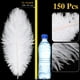 thumbnail image 2 of Plumas de Avestruz Berlune 150 Piezas 30-35 cm Blanco, 2 of 6