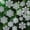 Silver, variant on 36pcs Christmas Silver Snowflake Ornaments Plastic Glitter Snow Flakes Ornaments for Winter Christmas Tree Decorations Size Varies Craft Snowflakes