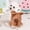 Yellow, variant on Pink Pig - Dog Costume, Soft Flannel Hooded Pet Jumpsuit, Cute Animal Cosplay Outfit Warm Pajama Clothes for Small Dogs Cats,S