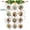 Multi-color, variant on Tutuviw Hand Embroidery DIY Christmas Embroidery Kit,Christmas Embroidery Kit,Embroidery Kit Christmas Ornaments,DIY Embroidery Kit Adults Beginners Christmas Embroidery Kits (Colorful Set)