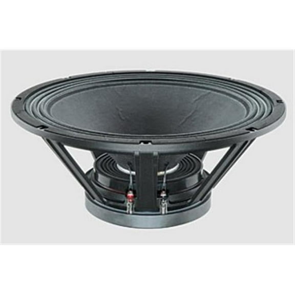 18 in. 1000W Woofer
