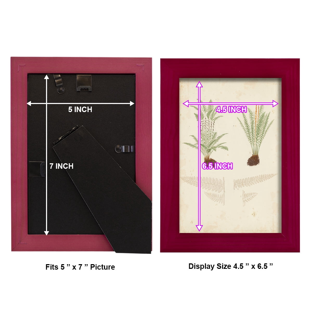 Fern Study III -Framed Print w/glass-Cherry Red
