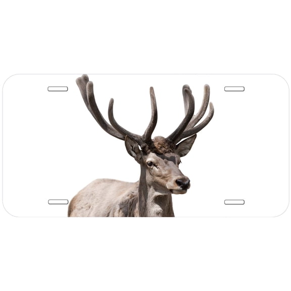 Deer TAG07 Novelty Car Auto License Plate