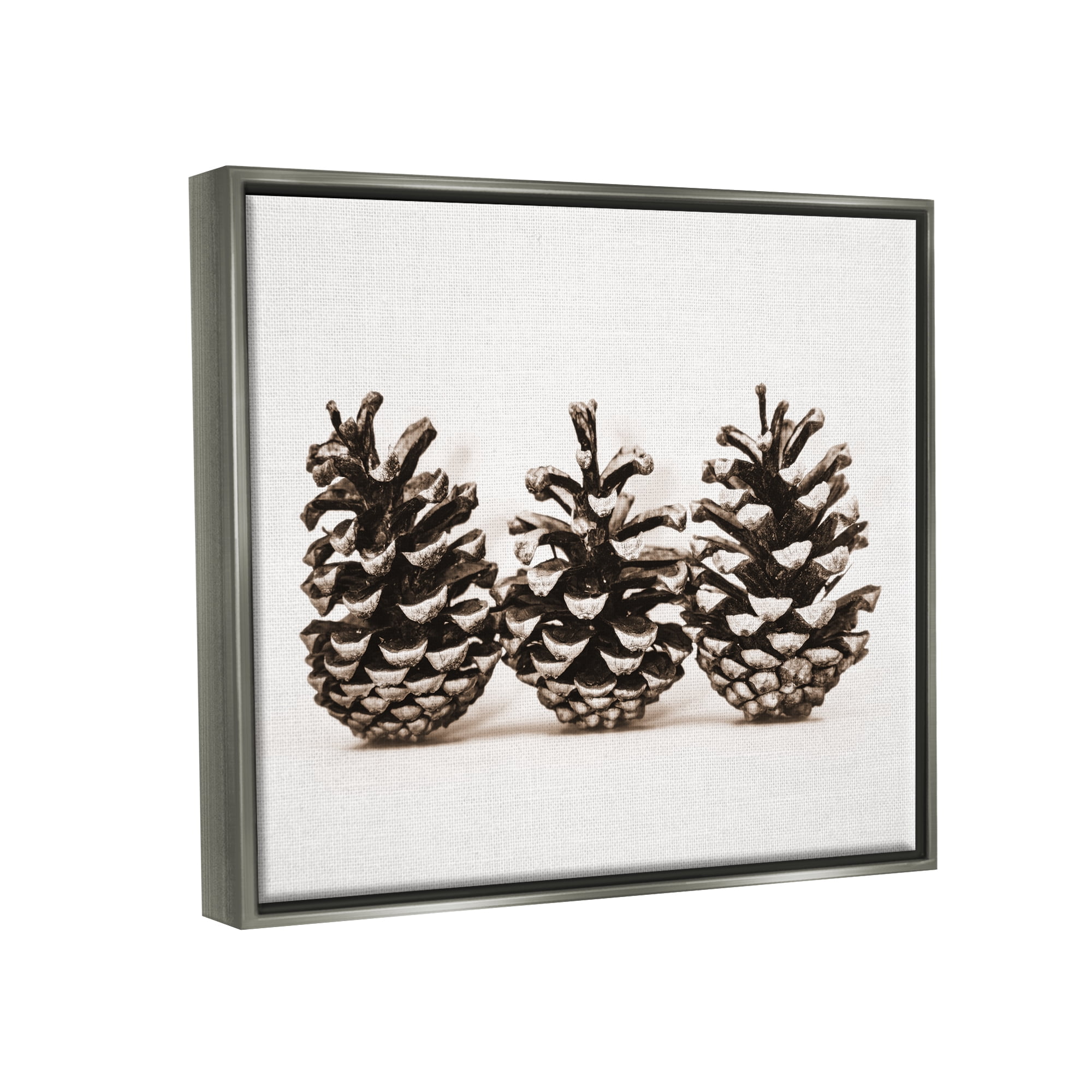 Stupell Industries Three Pinecones Nature Botanical & Floral Photography Gray Floater Framed Art Print Wall Art, 31 x 25