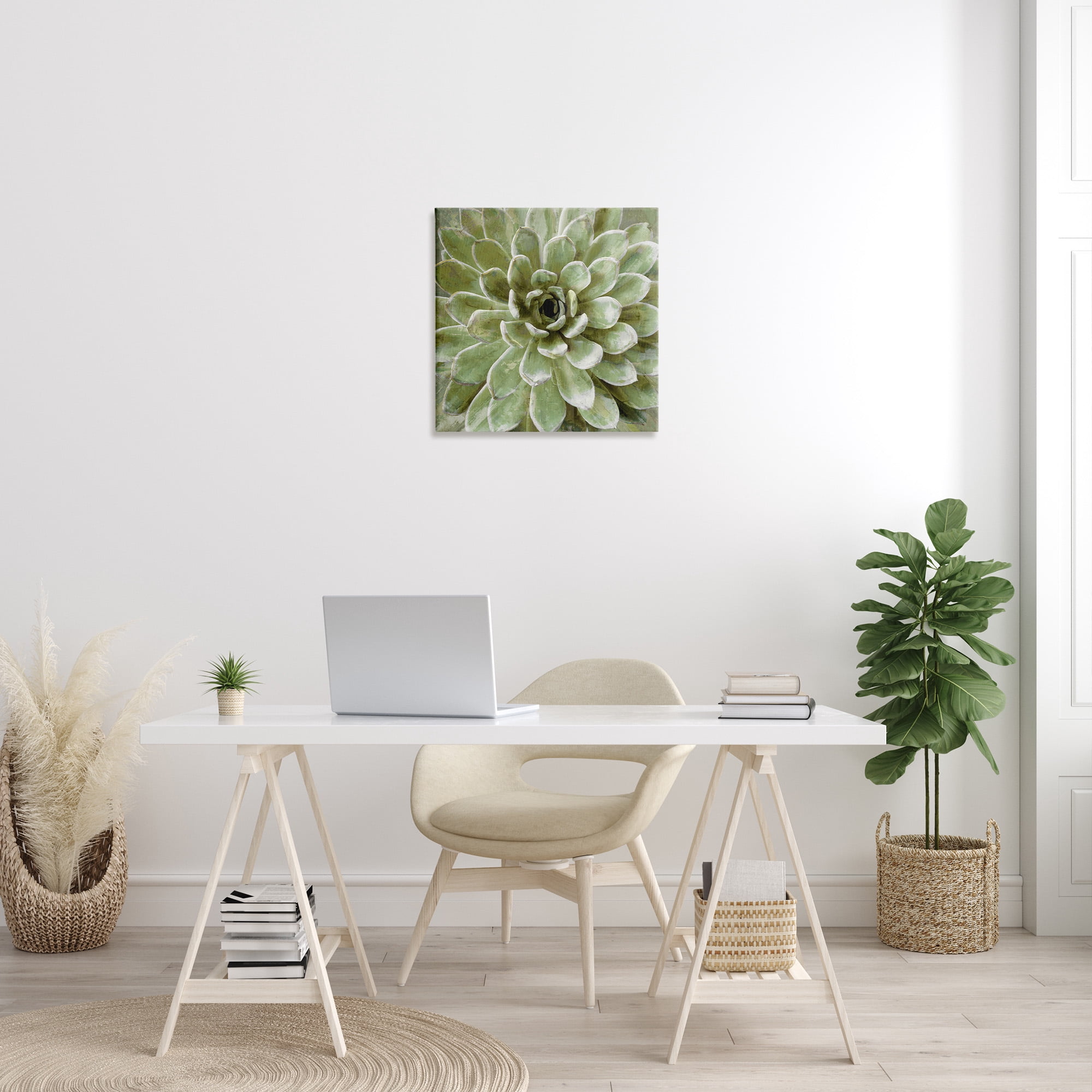 The Stupell Home Decor Collection Green Painted Botanical Succulent Bloom Oversized Stretched Canvas Wall Art, 24 x 1.5 x 24