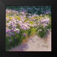thumbnail image 2 of Novak, Shirley 20x20 Black Modern Framed Museum Art Print Titled - Buckhorn Aster Show, 2 of 5