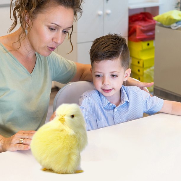 Muñeca de animales peludos para niños juguete de cognición de pollo Ehuebsd juguete de pollo peludo realista de Pascua Educación Temprana