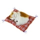 thumbnail image 1 of Ofertas de liquidación navideña de hoksml Juguetes antiestrés Regalo de Navidad Simulación de gato Animales de peluche Juguete Will Call con tapete de tela Gato durmiente Muñeco de peluche Regalos, 1 of 3