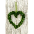 thumbnail image 1 of 6 Pieces of Boxwood Wreath Heart Preserved 9 inches, 1 of 3