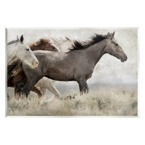 Stupell Industries Galloping Horse Herd Photography Animals & Insects Photography Unframed Art Print Wall Art
