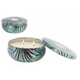 thumbnail image 1 of 12Oz 3 Wick Soy Blend Scented Candle Tin Nectarine Blossom, 1 of 3