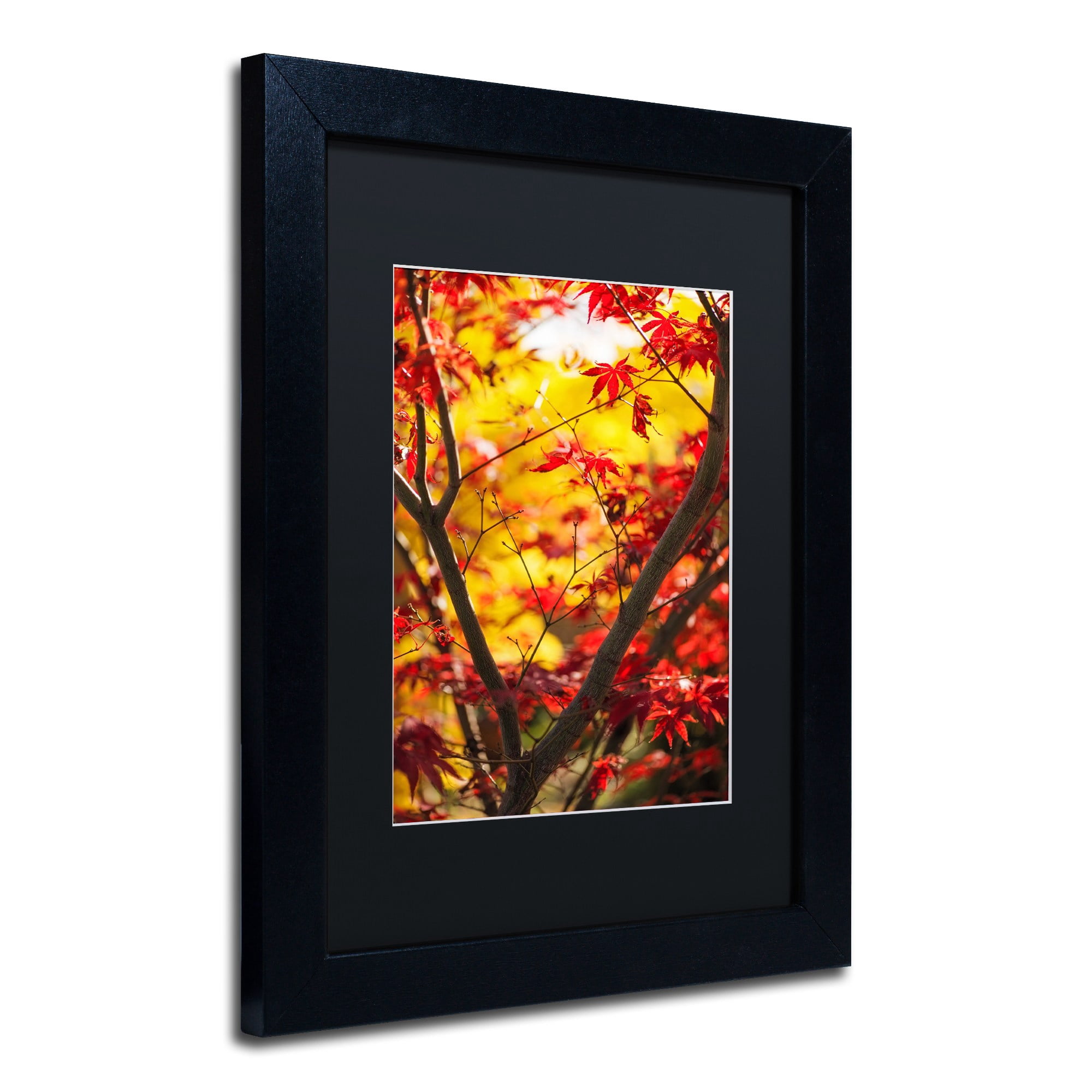 Trademark Fine Art "Morning Jive" Canvas Art by Philippe Sainte-Laudy Black Matte, Black Frame