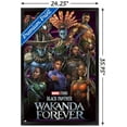 thumbnail image 4 of Marvel Black Panther : Wakanda Forever - Groupe, 4 of 4