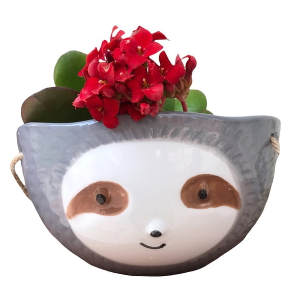Sloth Hanging Planter  Succulent Plant Pot Indoor Outdoor Ceramic Animal Planters Pots Flowerpot Container 1, Grey-Sloth Face