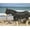 Black, variant on Majestic Ally Horse Fly Sheet with Neck Cover and Head Mask, Breathable UV and Bite Equine Protection, Adjustable Body Straps, Boarding or Turnout Accessory, Contoured Fit