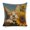 Sleeping orange cat sunflower 1, variant on Red and white checkered cross Linen toss pillowcase decoration pillowcase gifting preferred 18x18 inch cushion cover 2 sets sofa pillowcase sofa bedroom living room car