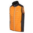 thumbnail image 3 of Regatta - Chaleco Halton VII para Hombre (Pimienta Naranja, Negro), 3 of 4