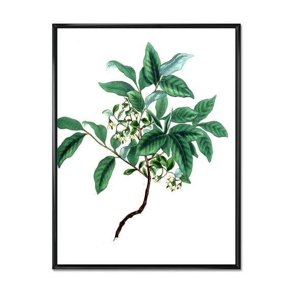 Designart 'Ancient Green Leaves Plants IV' Traditional Framed Canvas Wall Art Print