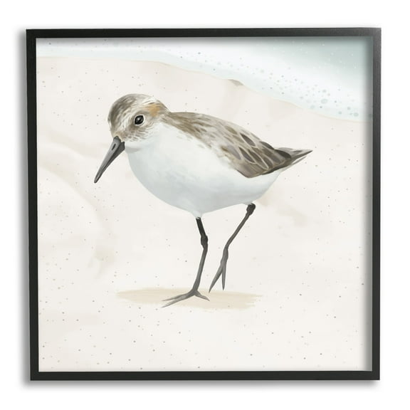 Stupell Industries Stepping Sandpiper Bird Ocean Shoreline Beach Scene Graphic Art Black Framed Art Print Wall Art, Design by Lucca Sheppard