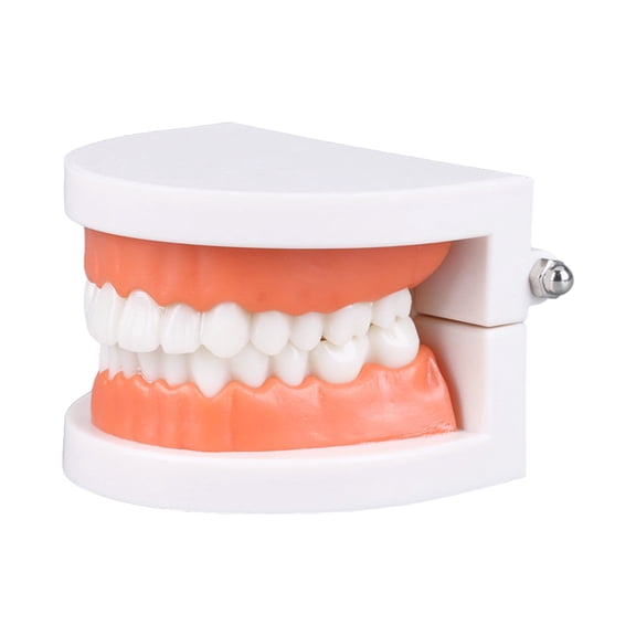 Vogacara Juguetes educativos para niños, aprendizaje, cepillado de dientes, ayuda didáctica interactiva para padres e hijos, accesorio de Juguetes Educativos