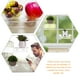 thumbnail image 3 of unbranded 2Ud Repisas Transparentes Con Ventosas Para Plantas Estantes Acrílicos Para Y, 3 of 8