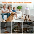 thumbnail image 4 of AIRROMI AIRROMI A2002 Air Purifier - For Large Rooms up to 660 sq ft - True HEPA Filter for Efficient Dust & Germ Removal - Built-in Aromatherapy Diffuser & Soft Night Light for Better Sleep Pink, 4 of 9