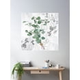 thumbnail image 2 of Silver Dollar Eucalyptus Poster Wall Art, Modern Wall Decor For Living Room Bedroom, 30x30 UNFRAMED, 2 of 3