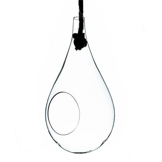 Athenas Garden HCH0910 5 in. Small Clear Rope Hanging Terrarium & Vase