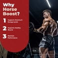 thumbnail image 5 of (3 Pack) Horse Boost – Original Horse Boost Capsules with a Natural Daily Blend for Energy & Wellness | Clean, Gentle, Easy-to-Swallow Pills (180 Capsules), 5 of 10