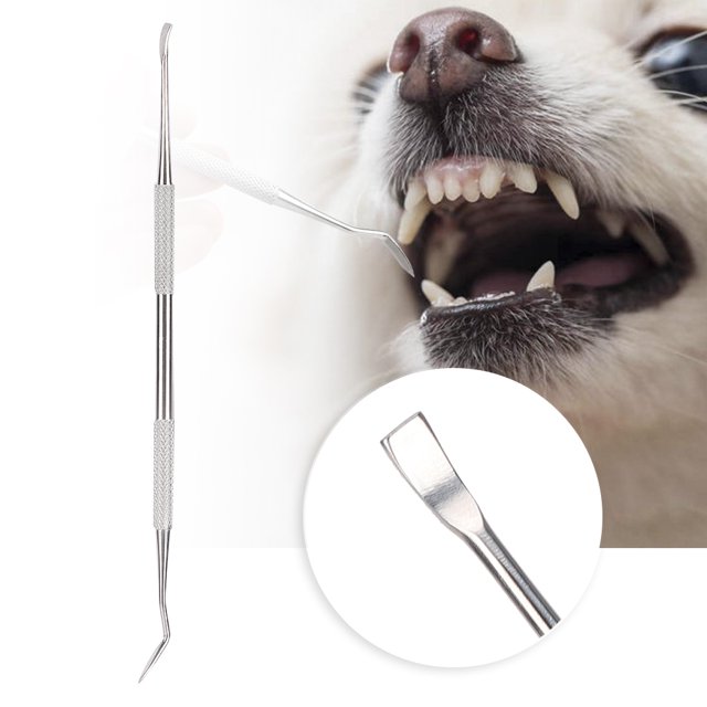 Ccdes Pet Teeth Scraper,Dog Teeth Cleaner,Stainless Steel Pet Dog Tooth Cleaner Plaque Tartar Remover Scraper Cleaning Tool