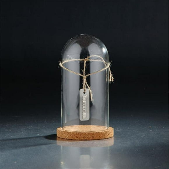 8,5 x 5 Po Accessoire en Verre&44; Effacer
