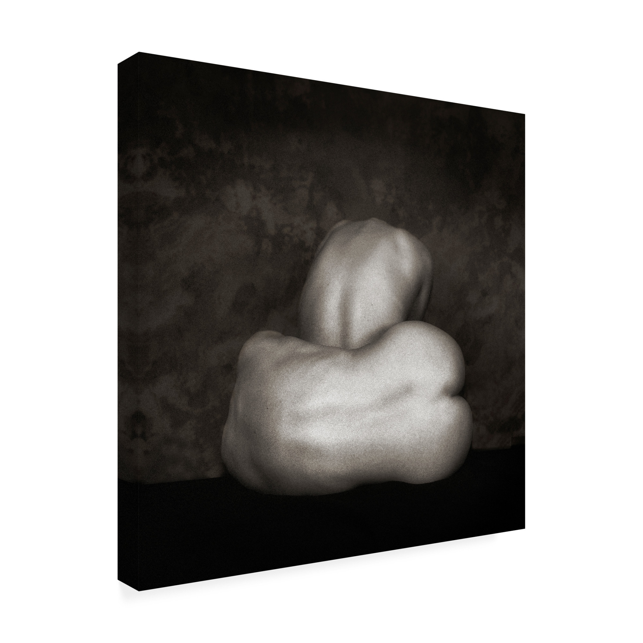 Canvas Wall Art - Jan Donckers 'Two Beamng Lonely' Wall Art for Living Room, Bedroom, or Office Décor by Trademark Fine Art - 18 x 18 Inches