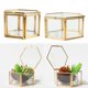 thumbnail image 1 of Caja de joyería de terrario geométrico de Metal de cristal hexagonal de 2 piezas Decoración de compromiso perfecl Terrario geométrico moderno, 1 of 8