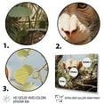 thumbnail image 3 of Designart "Mischievous Monkey Pastoral Green and Brown Monkey" Animals Floater Framed Wall Decor, 3 of 7