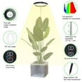 thumbnail image 5 of Growth Lamp,Potted Plant Fill Plant Floor Lamp On/off 3/9/12h 10 Auto On/off 3/9/12h Lamp Floor Model Indoor Adjustable With Led Indoor Adjustable Fill 3/9/12 10 3/9/12h 10 Dimmable With Auto On/off, 5 of 7