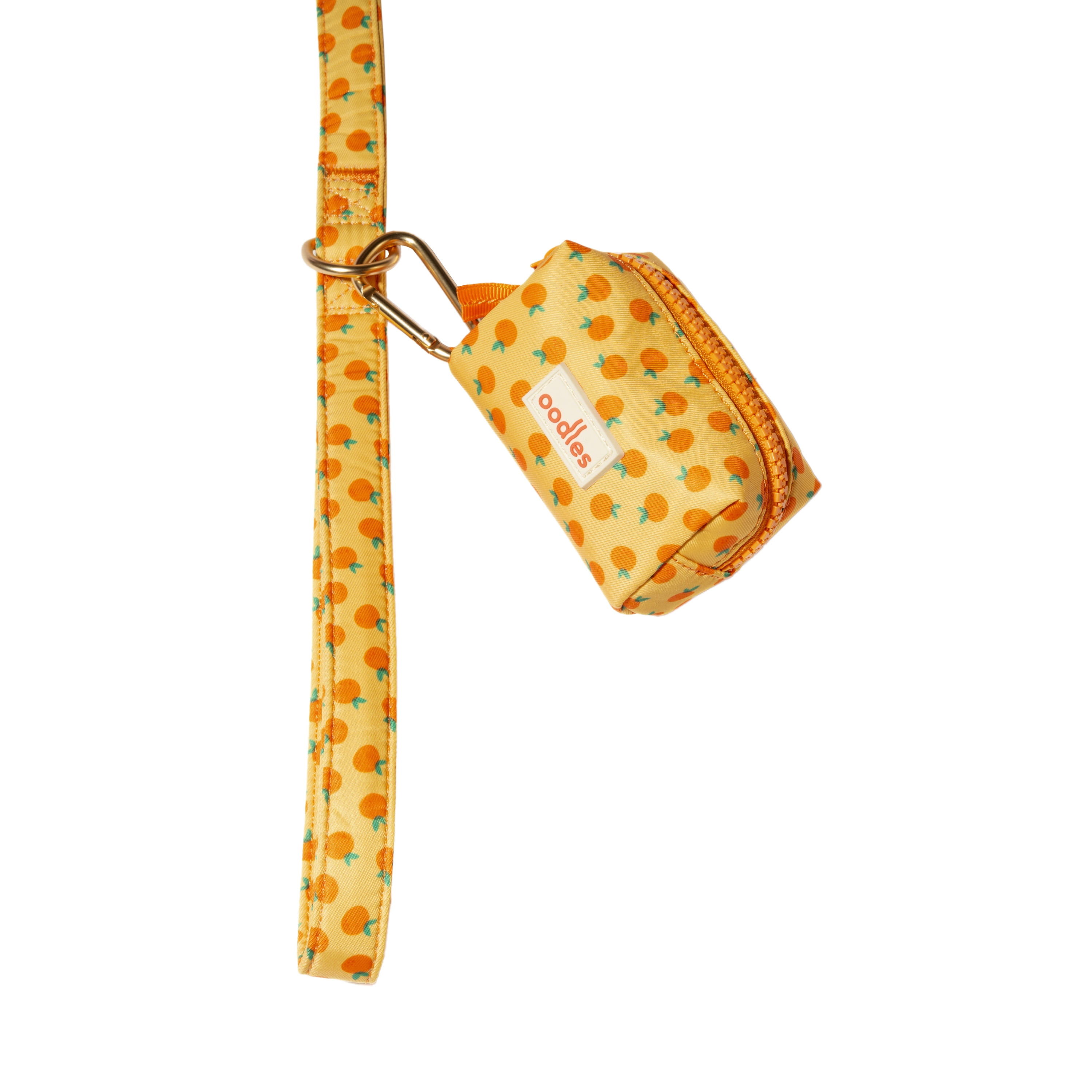 Oodles Sweet Citrus Dog Walking 3 Piece Set, Large