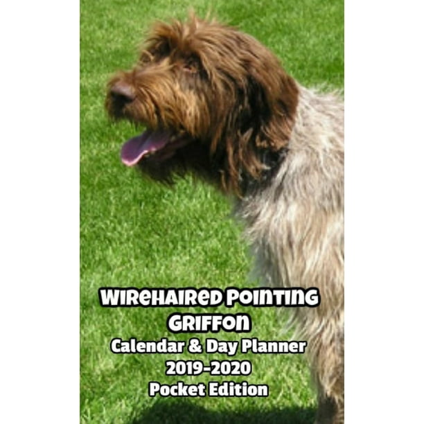 Wirehaired Pointing Griffon Calendar & Day Planner 20192020 Pocket