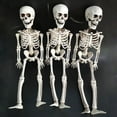 thumbnail image 2 of Halloween Human Skeleton Oversized Poseable Full Life Size Decoration Party Prop, 2 of 5