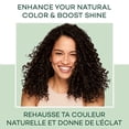 thumbnail image 5 of Pack of (6) Clairol Natural Instincts Semi-Permanent Hair Color, 6C Light Brown, 5 of 6