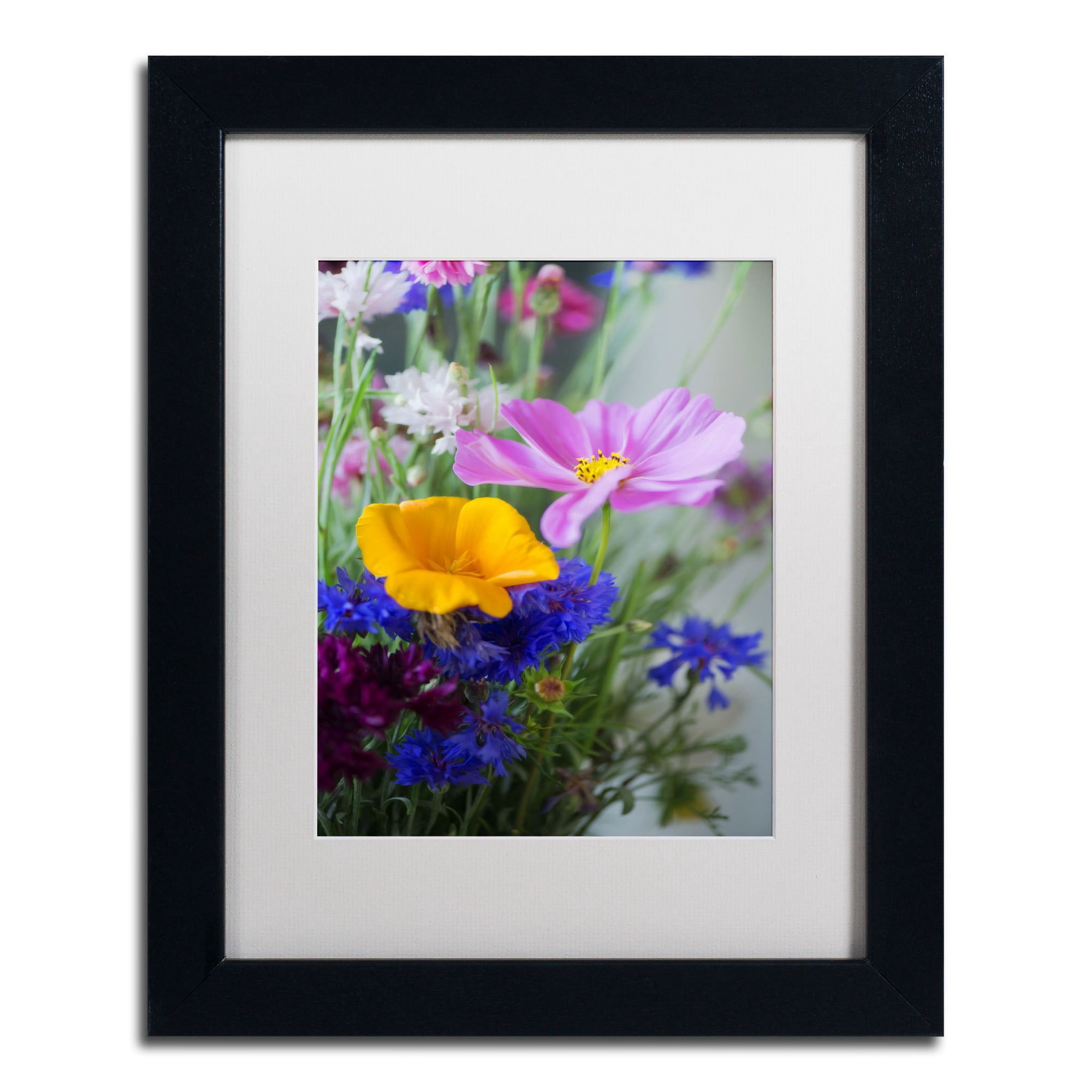 Trademark Fine Art "Cosmo Duo" Canvas Art by Philippe Sainte-Laudy, White Matte, Black Frame